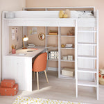 loftseng image