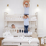 Blanka Køyeseng 90x200 – Uttrekkbar Gjesteseng og Oppbevaringsskuffer - Kaszmir image